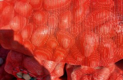 Овощи на зиму картофель, морковь, лук, капуста