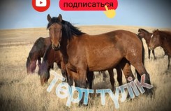 Скотный рынок